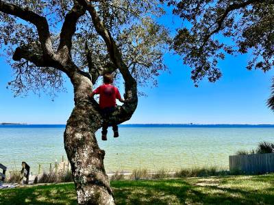 Boy in Tree Destin FL